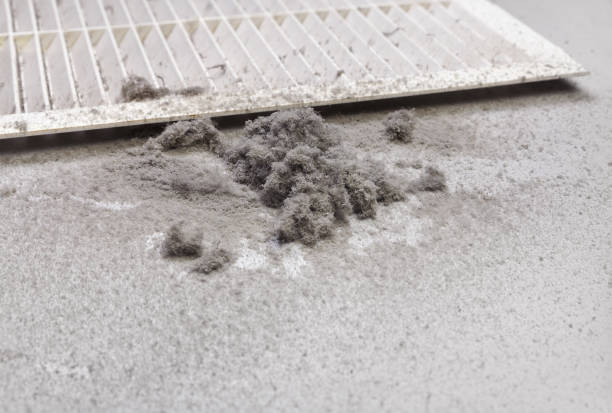 Best Residential Air Duct Cleaning  in Iowa, LA