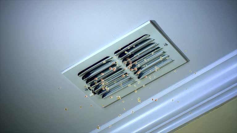 Best Residential Air Duct Cleaning  in Iowa, LA