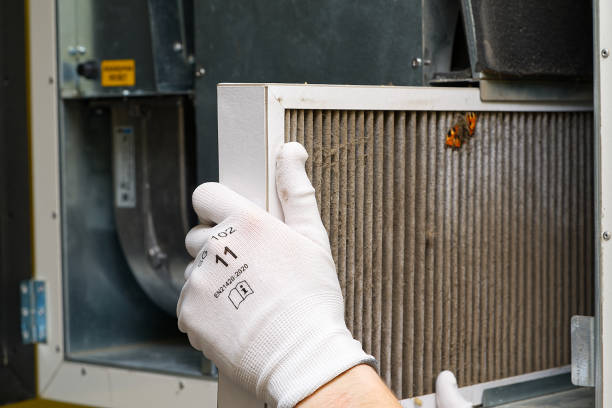 Best Affordable Duct Cleaning Services  in Iowa, LA